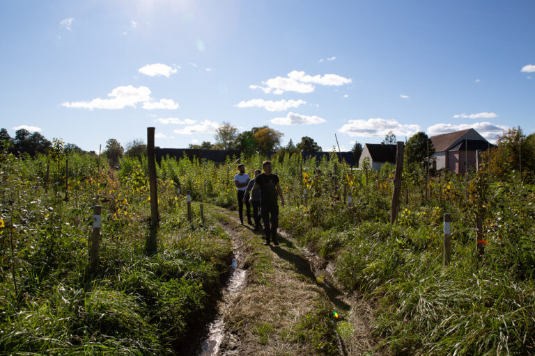 Select Green Hotels Michelberger Hotel Berlin biodynamische farm