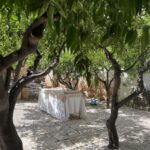 Select Green Hotels Paragon 700 Boutique Hotel & Spa