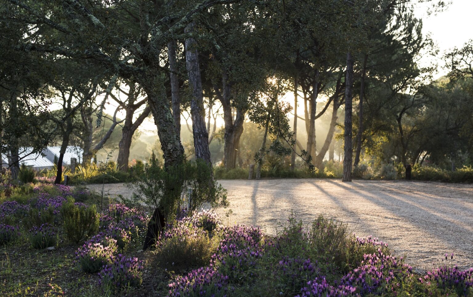 Select Green Hotels Sublime Comporta pines and nature