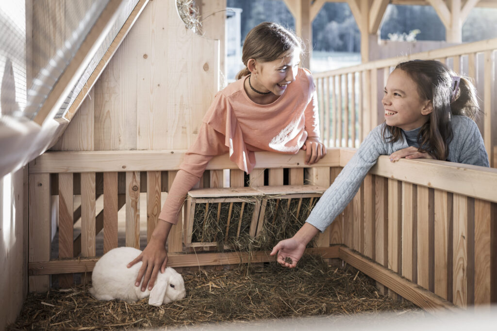 Select Green Hotels AKI Family Resort PLOSE  Streichelzoo